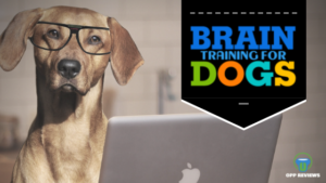 Brain Train Your Dog Product Review